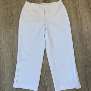 B. Moss The Downtown Pant White Size 4